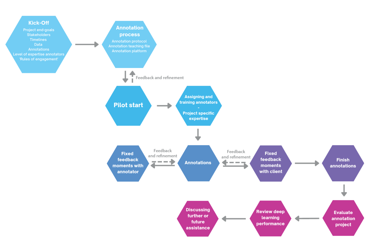 Medical Annotation services – Quantitas solutions